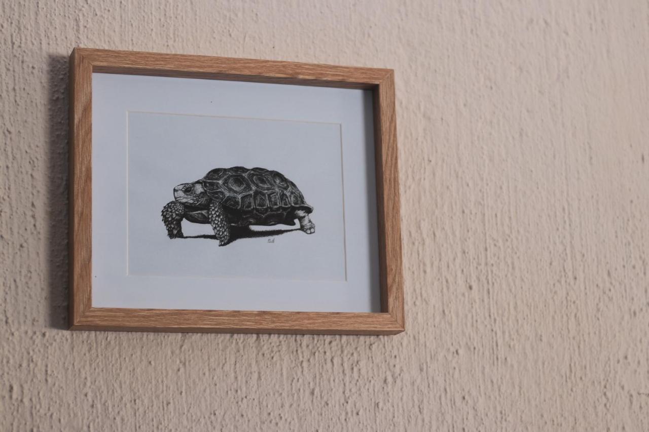 Hello Kruger Hideaway Cottage & Skilpad Studio Марлот Парк Екстериор снимка