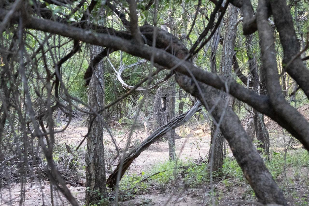 Hello Kruger Hideaway Cottage & Skilpad Studio Марлот Парк Екстериор снимка