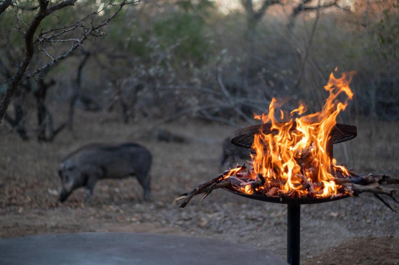 Hello Kruger Hideaway Cottage & Skilpad Studio Марлот Парк Екстериор снимка