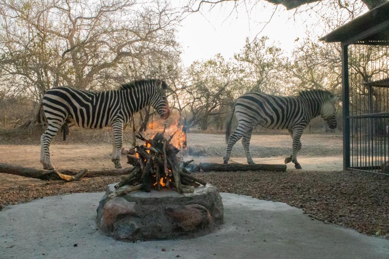 Hello Kruger Hideaway Cottage & Skilpad Studio Марлот Парк Екстериор снимка